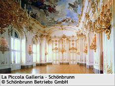 la piccola galleria